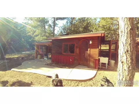 921 Eagle Dr, Lyons, CO 80540 photo 29