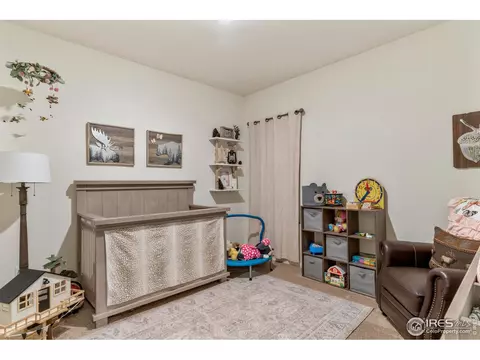 1061 Long Meadows St, Severance, CO 80550 photo 20