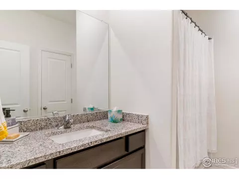 1061 Long Meadows St, Severance, CO 80550 photo 22