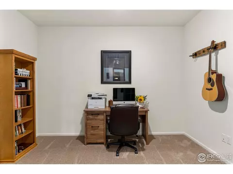 1061 Long Meadows St, Severance, CO 80550 photo 19