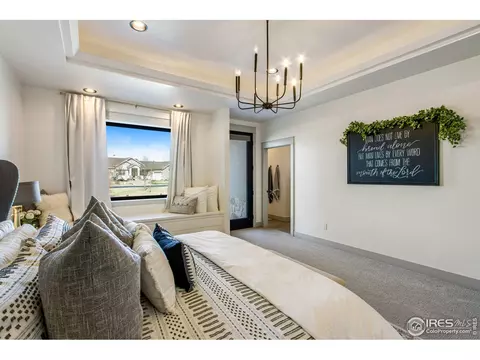 6828 Clovis Ct, Timnath, CO 80547 photo 24