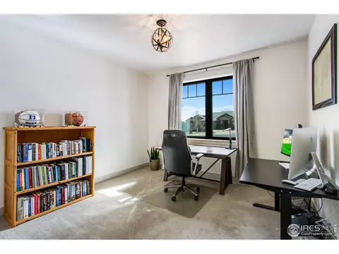 6828 Clovis Ct, Timnath, CO 80547 photo 25