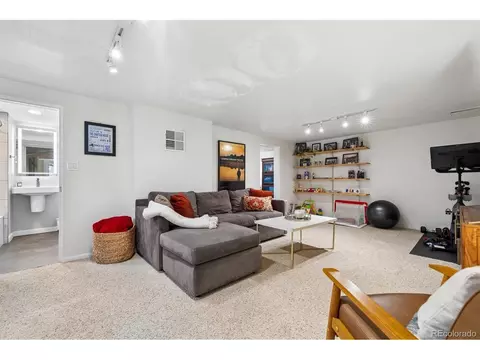 730 Ivanhoe St, Denver, CO 80220 photo 26