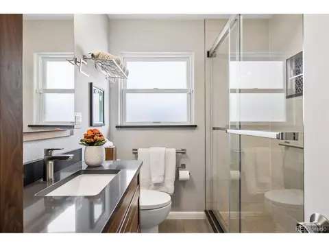 730 Ivanhoe St, Denver, CO 80220 photo 22