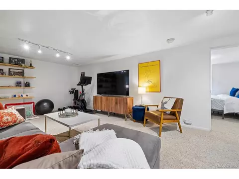 730 Ivanhoe St, Denver, CO 80220 photo 27