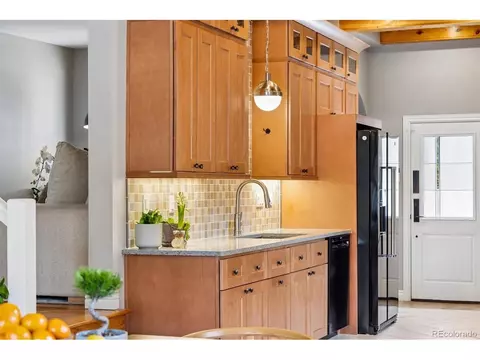 730 Ivanhoe St, Denver, CO 80220 photo 15
