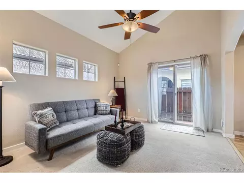 10148 E 29th Dr, Denver, CO 80238 photo 4