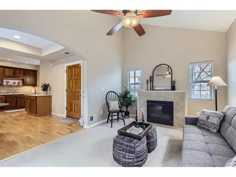 10148 E 29th Dr, Denver, CO 80238 photo 3