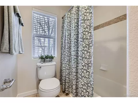 10148 E 29th Dr, Denver, CO 80238 photo 17