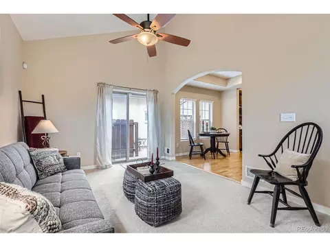 10148 E 29th Dr, Denver, CO 80238 photo 5