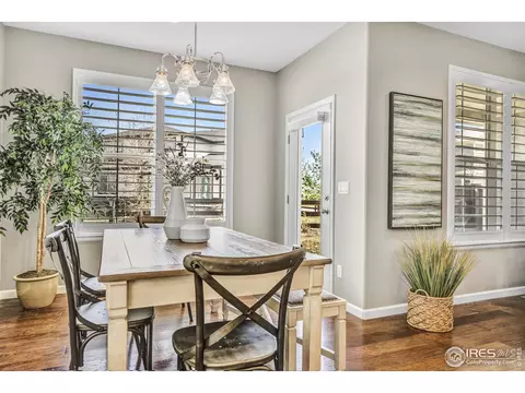 172 Halibut Dr, Windsor, CO 80550 photo 10
