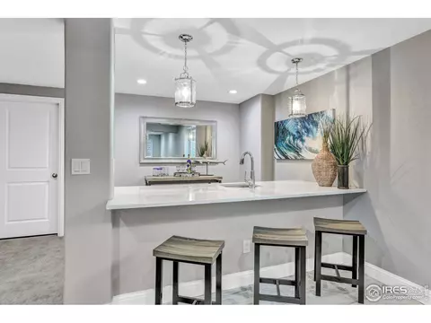 172 Halibut Dr, Windsor, CO 80550 photo 22