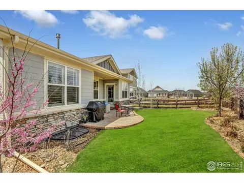 172 Halibut Dr, Windsor, CO 80550 photo 25