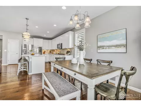 172 Halibut Dr, Windsor, CO 80550 photo 11