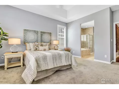 172 Halibut Dr, Windsor, CO 80550 photo 16