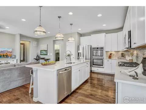 172 Halibut Dr, Windsor, CO 80550 photo 13