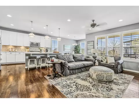 172 Halibut Dr, Windsor, CO 80550 photo 8