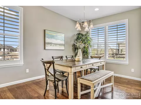 172 Halibut Dr, Windsor, CO 80550 photo 9