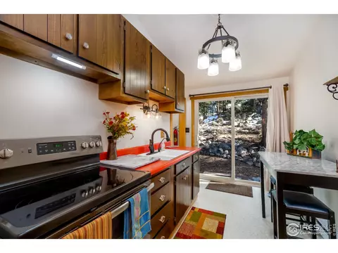 252 Tiny Bob Rd, Red Feather Lakes, CO 80545 photo 10