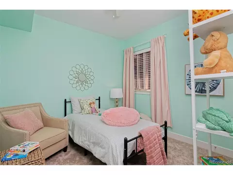 8443 E 50th Dr, Denver, CO 80238 photo 22