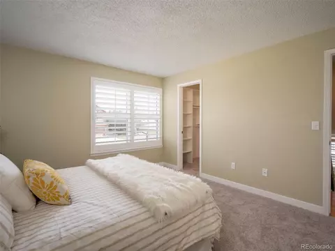 8701 Apache Plume Dr, Parker, CO 80134 photo 23