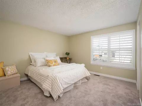 8701 Apache Plume Dr, Parker, CO 80134 photo 22
