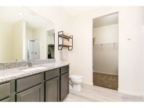 997 Cascade Falls St, Windsor, CO 80550 photo 20