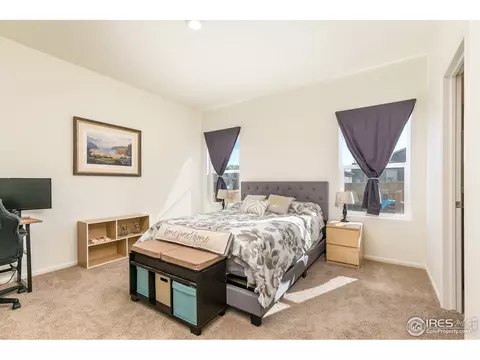 997 Cascade Falls St, Windsor, CO 80550 photo 18