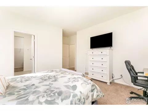 997 Cascade Falls St, Windsor, CO 80550 photo 19