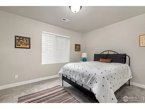 6013 Carmon Dr, Windsor, CO 80550 photo 25