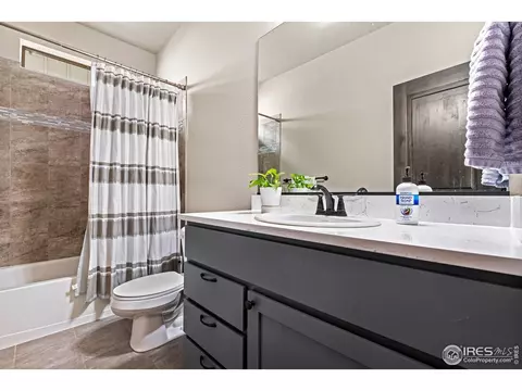 6013 Carmon Dr, Windsor, CO 80550 photo 20