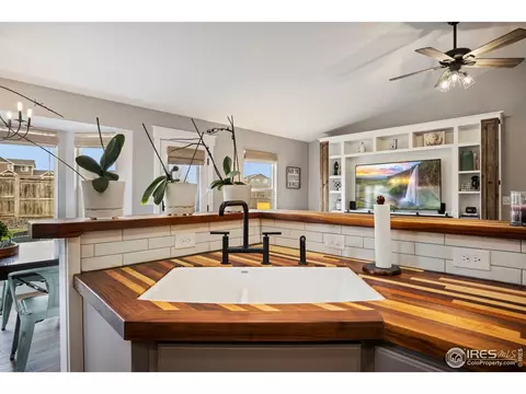 1304 Cliffrose Ct, Severance, CO 80550 photo 15