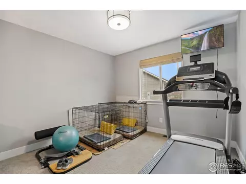 1304 Cliffrose Ct, Severance, CO 80550 photo 20