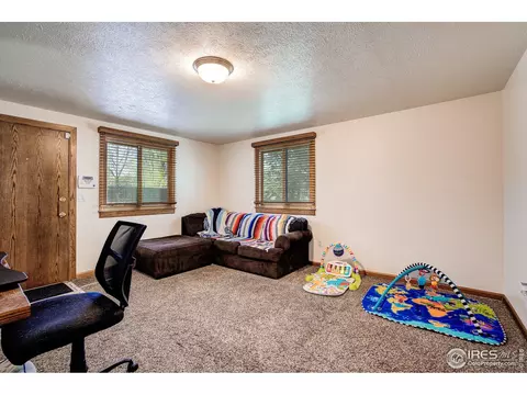 950 Pasque Dr, Longmont, CO 80504 photo 18