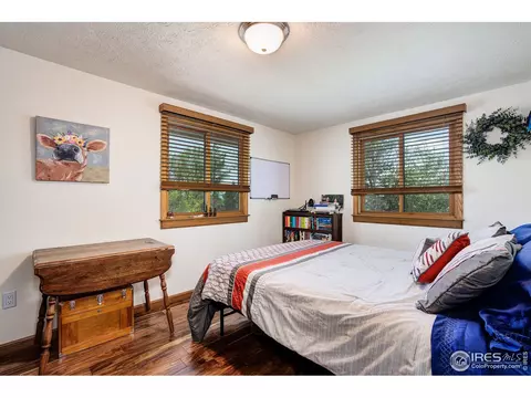 950 Pasque Dr, Longmont, CO 80504 photo 26