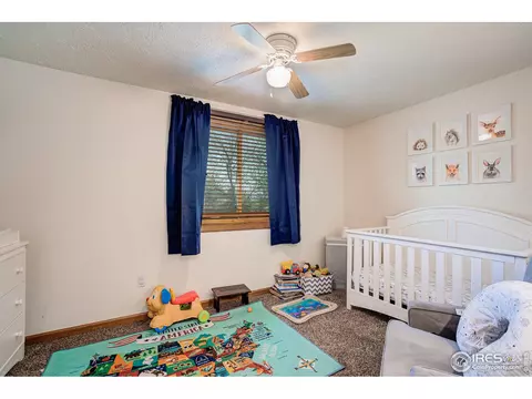 950 Pasque Dr, Longmont, CO 80504 photo 28