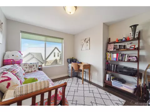 19168 E 54th Pl, Denver, CO 80249 photo 19
