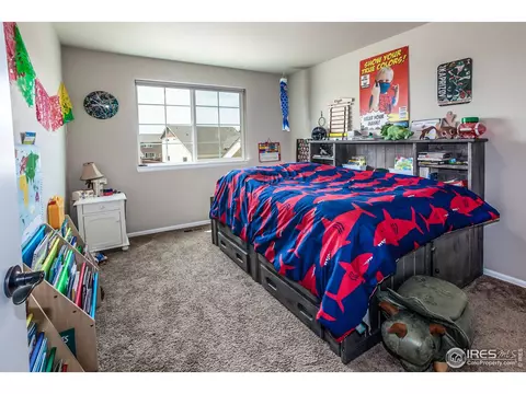 1506 First Light Dr, Windsor, CO 80550 photo 26