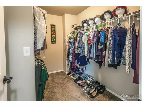 1506 First Light Dr, Windsor, CO 80550 photo 22