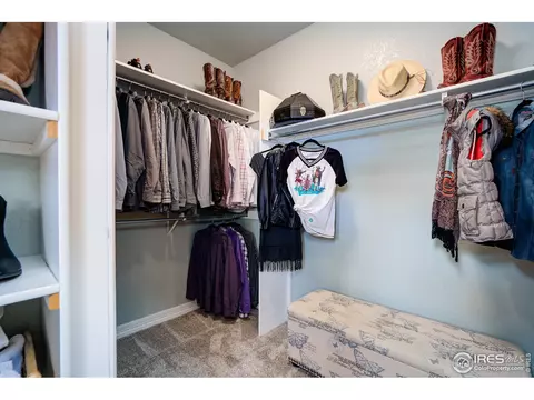435 Double Tree Dr, Greeley, CO 80634 photo 23