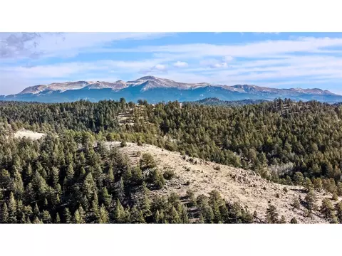 0 County Road 12, Florissant, CO 80816