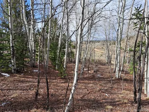 1411 Travois Rd, Como, CO 80432 photo 8