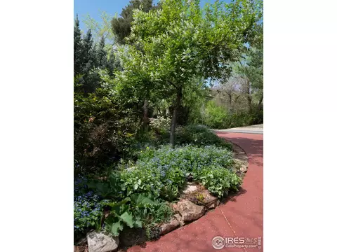 255 Willow Glen Ct, Boulder, CO 80302 photo 34