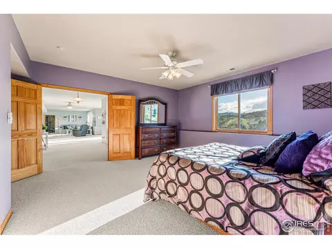 1011 Horizon Dr, Lyons, CO 80540 photo 28