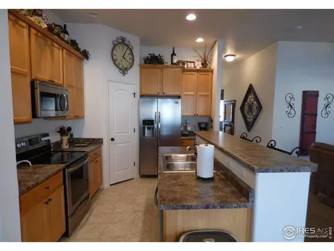 317 Shadowbrook Dr, Windsor, CO 80550 photo 4