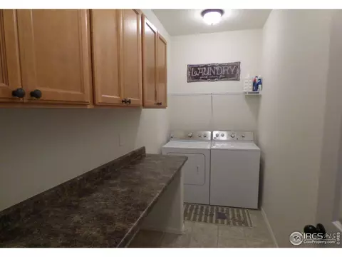 317 Shadowbrook Dr, Windsor, CO 80550 photo 16