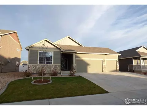 317 Shadowbrook Dr, Windsor, CO 80550 photo 1