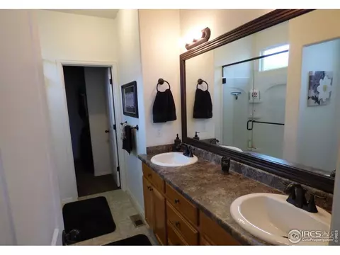 317 Shadowbrook Dr, Windsor, CO 80550 photo 14
