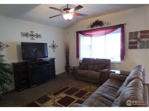 317 Shadowbrook Dr, Windsor, CO 80550 photo 9