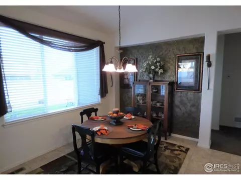 317 Shadowbrook Dr, Windsor, CO 80550 photo 7